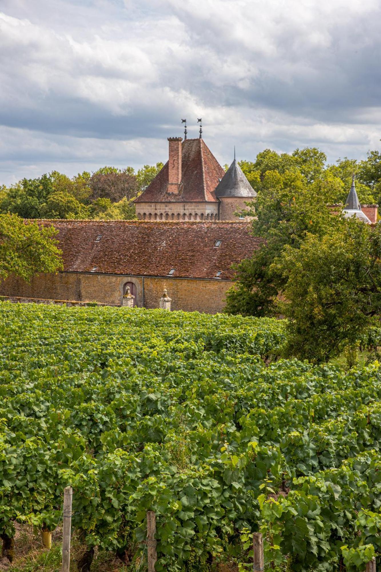 Chateau De La Grange Saint-Emiland Εξωτερικό φωτογραφία